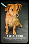 Jilly Bean
