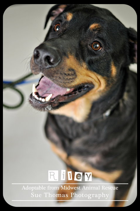 Riley