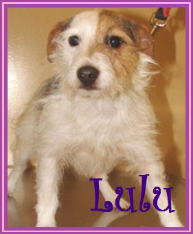 Lulu