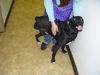 Omar