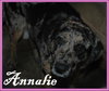 Annalie