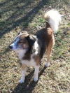 Elwood