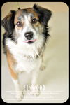 Elwood