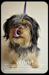 Johnny
