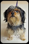 Johnny