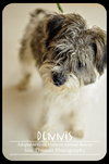 Dennis
