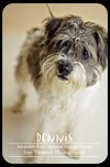 Dennis