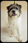 Dennis