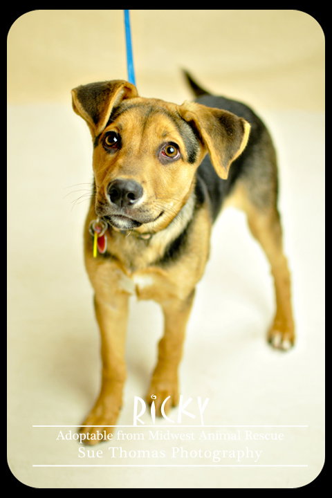 Ricky