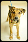 Ricky