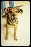 Ricky