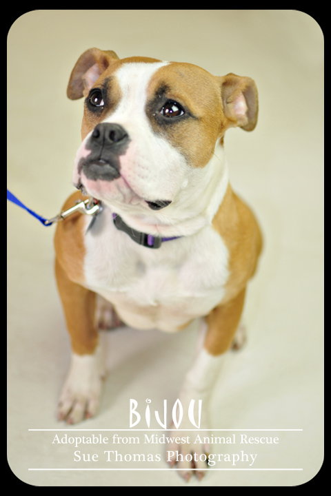 Bijou