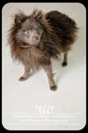 Fozzy