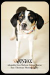 Justice