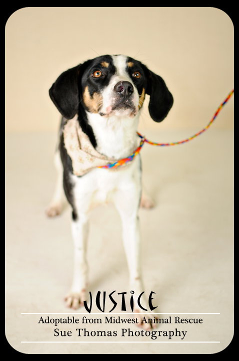 Justice