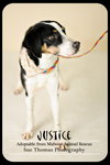 Justice