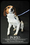 Pickles