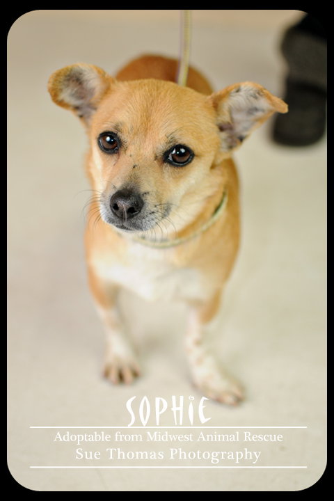Sophie