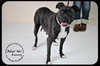Blanche