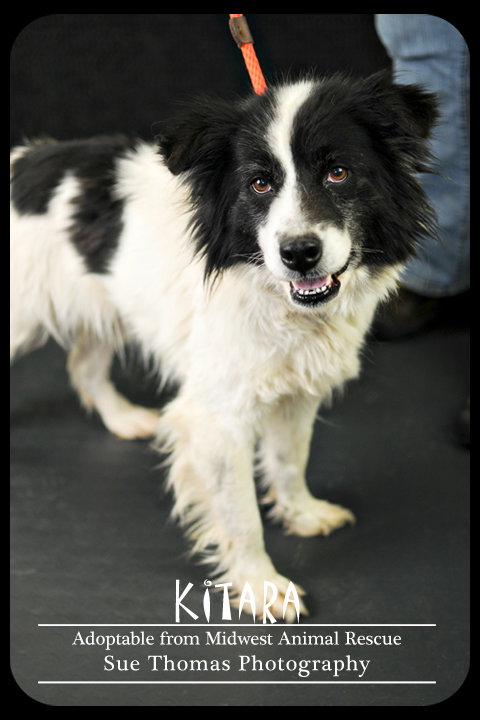 Kitara
