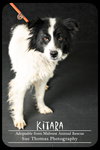 Kitara