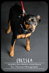 Chelsea