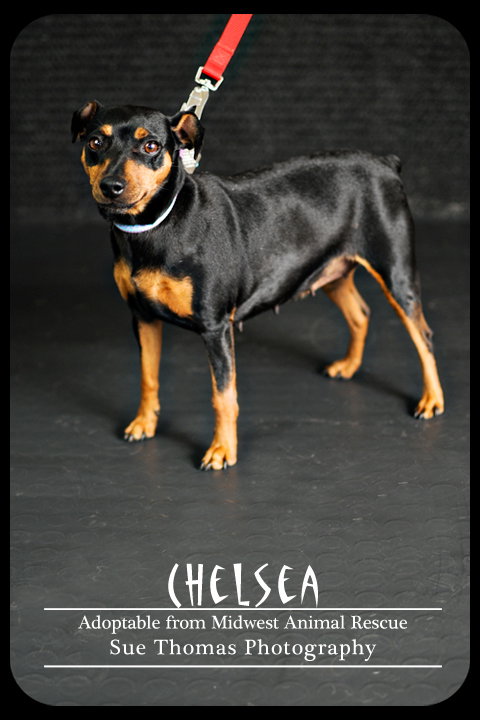 Chelsea