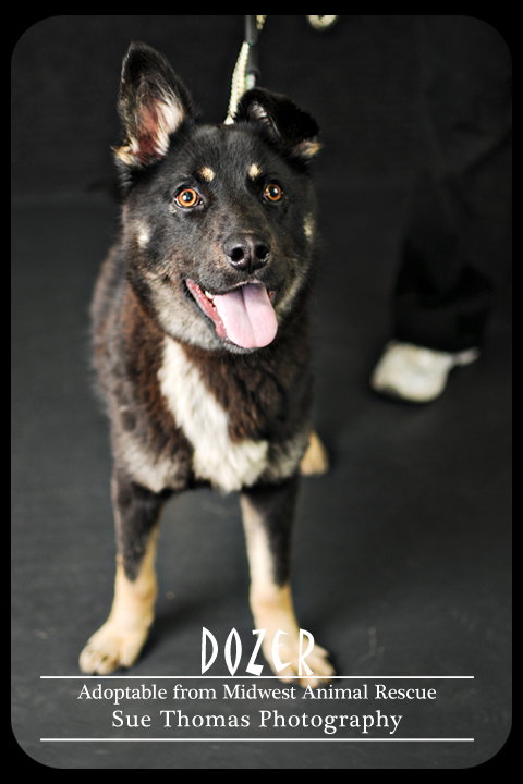 Dozer