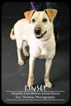 Kinsey