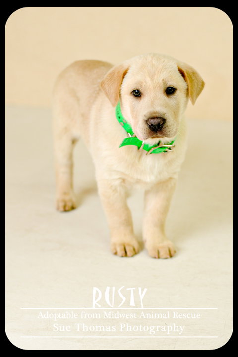 Rusty