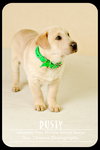 Rusty