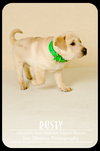 Rusty