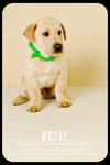 Rusty