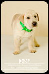 Rusty