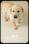 Rusty