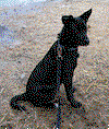 Gladys