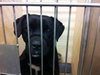 Buster