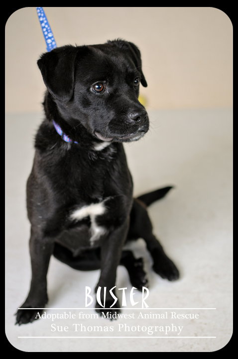 Buster