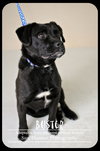 Buster