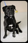 Buster