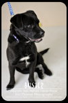 Buster