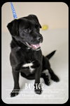 Buster