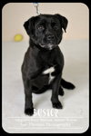 Buster