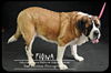 Fiona