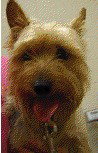 Charlie