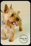 Charlie