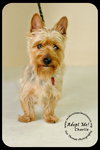 Charlie