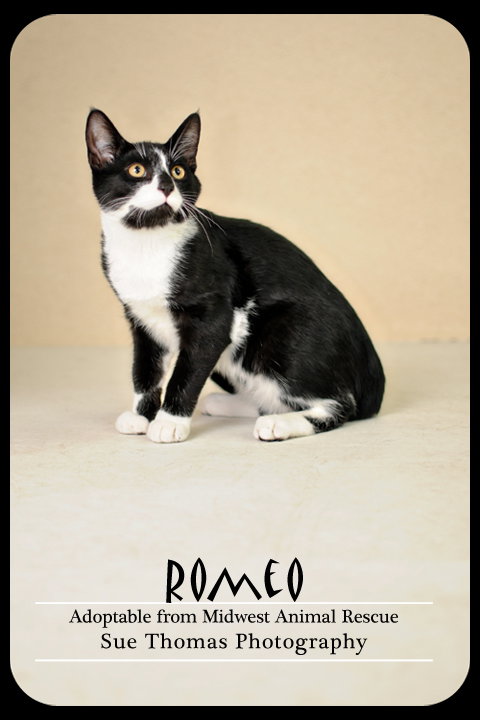 Romeo