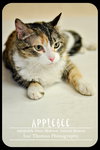 Applebee