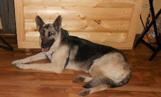 Bailey